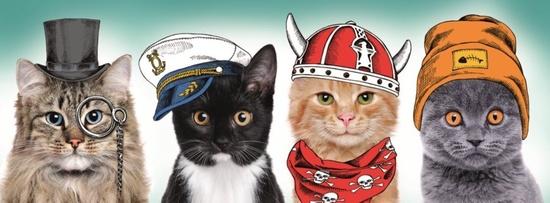 TREFL Panoramatické puzzle Hebký tým 500 dílků - 29504