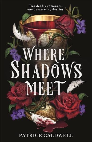 Where Shadows Meet - 1471411869