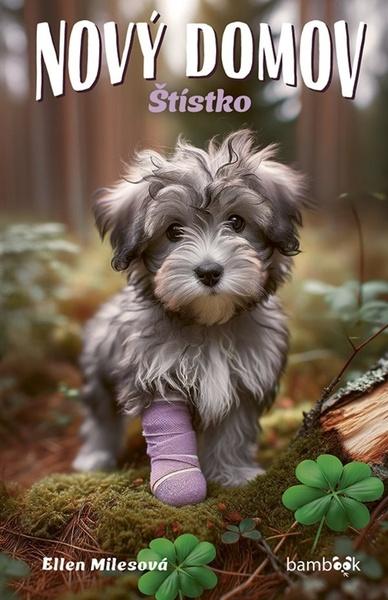 Nový domov Štístko - 9788027137169