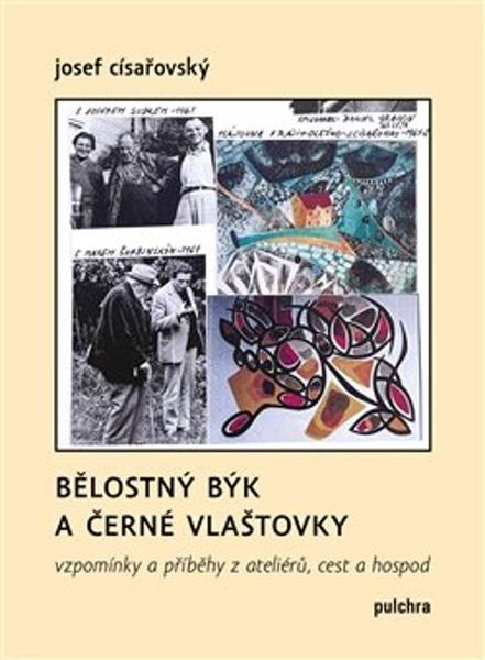 Bělostný býk a černé vlaštovky - 9788075641199