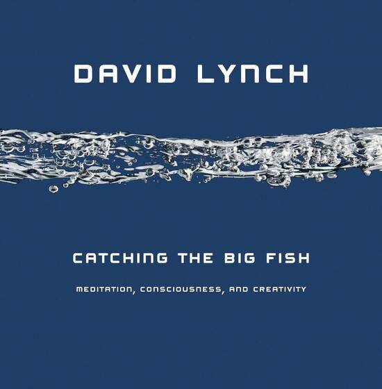 Catching the Big Fish - 1585425400