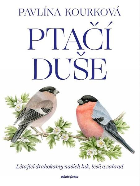 Ptačí duše - 9788020464644