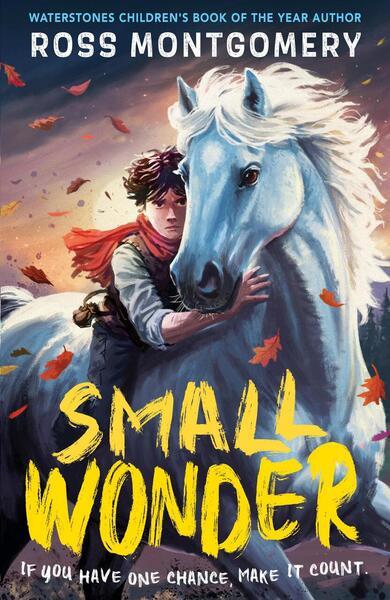Small Wonder - 1529526124