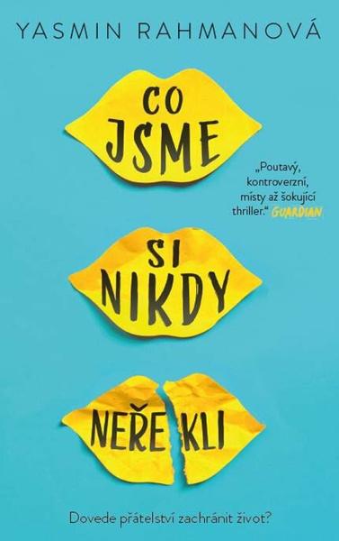 Co jsme si nikdy neřekli - 9788028404819