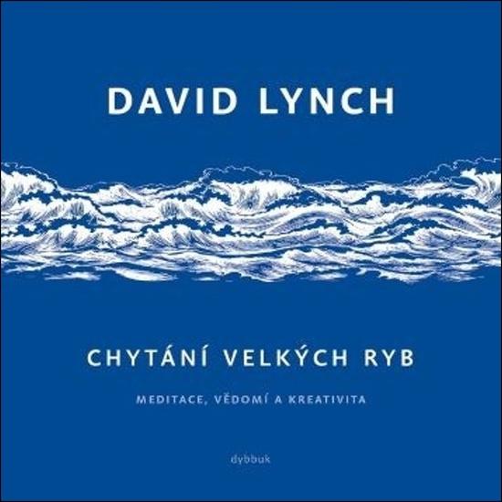 Chytání velkých ryb - 9788076901292