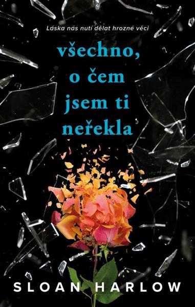 Všechno, o čem jsem ti neřekla - 9788028405328