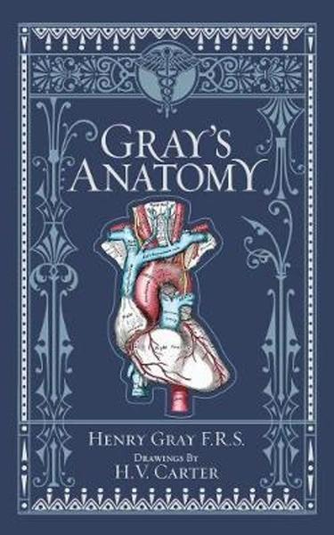 Gray's Anatomy (Barnes & Noble Collectible Classics: Omnibus Edition) - 1435167910