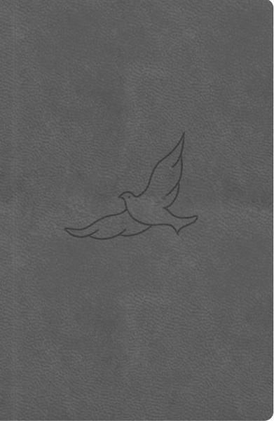 Bible21 kapesní Pepper - 9788088642312