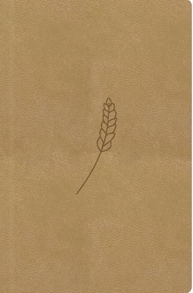 Bible21 kapesní Honey - 9788088642305