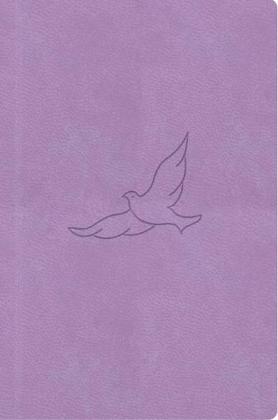 Bible21 kapesní Lila - 9788088642336