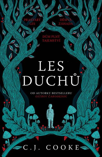 Les duchů - 9788027724390