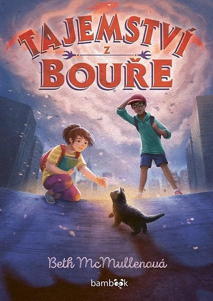 Tajemství z bouře - 9788027138159