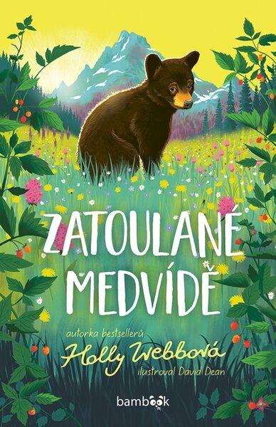 Zatoulané medvídě - 9788024748894