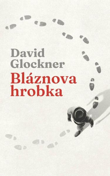 Bláznova hrobka - 9788028405618
