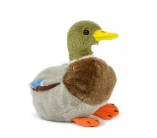 Kačer kachny divoké plyš 18 cm