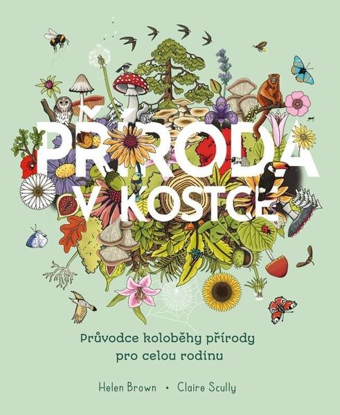 Příroda v kostce - 9788027744787