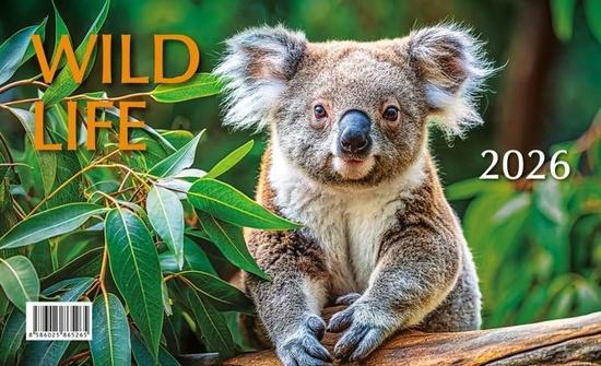 Mláďata Wild life 2026 - stolní kalendář