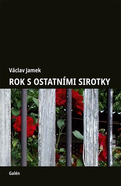 Rok s ostatními sirotky - 9788074927577