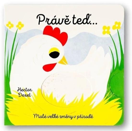 Právě teď… Malé velké změny v přírodě - 9788025639115