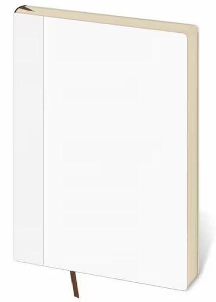 Náhradní náplň pro koženkové desky 2026 Flip A5/L denní