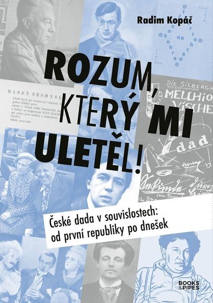 Rozum, který mi uletěl! - 9788074853104