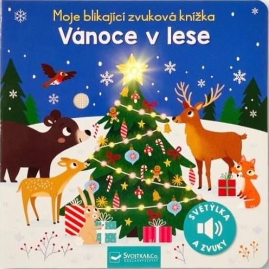 Moje blikající zvuková knížka Vánoce v lese - 9788025639467