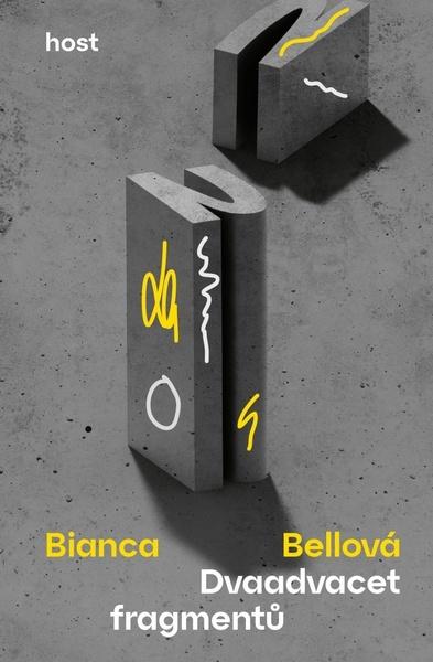 Dvaadvacet fragmentů - 9788027525881