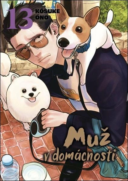 Muž v domácnosti - 9788027744817