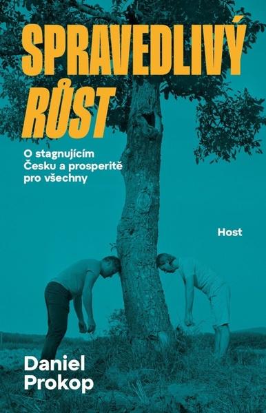 Spravedlivý růst - 9788027524181