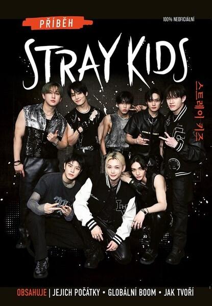 Příběh Stray Kids - 9788026457763