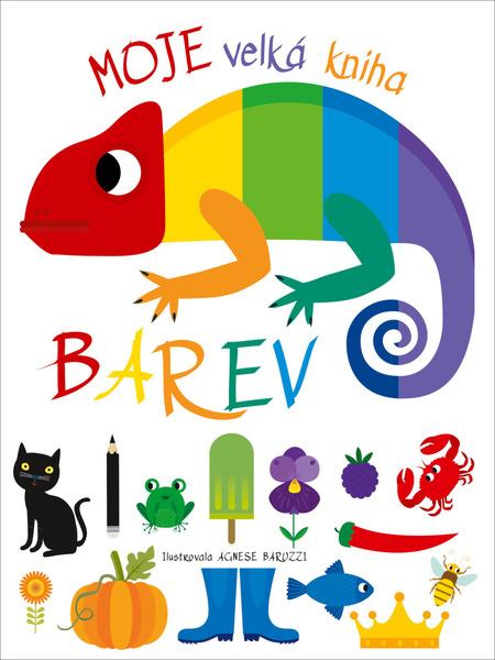 Moje velká kniha barev - 9788027710737