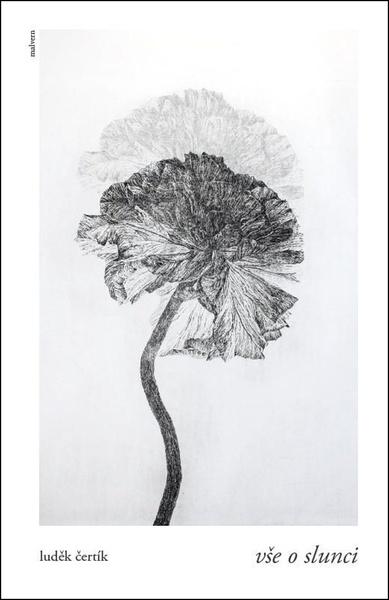 Vše o slunci - 9788075305855