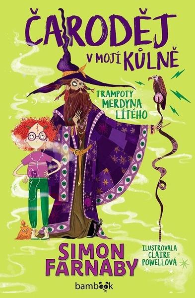 Čaroděj v mojí kůlně - 9788027154807