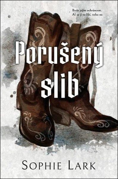 Porušený slib - 9788027743612
