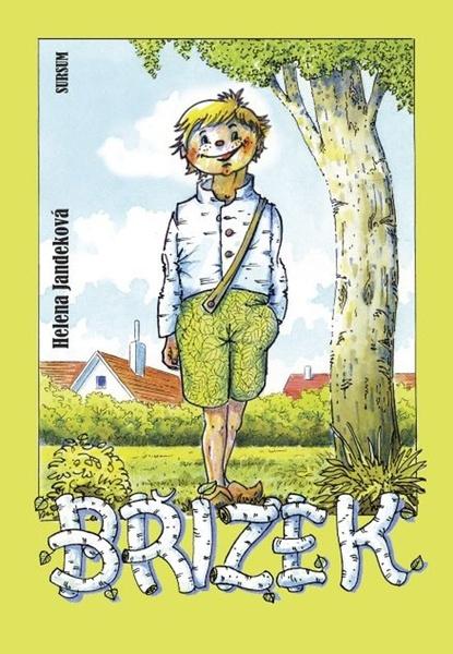 Břízek - 9788073234201