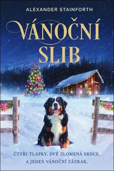 Vánoční slib - 9788075466822