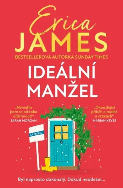 Ideální manžel - 9788076702691