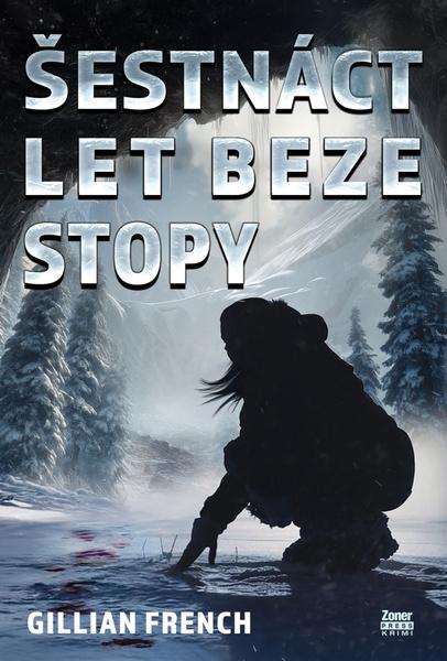 Šestnáct let beze stopy - 9788074136405