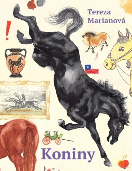 Koniny - 9788028404178