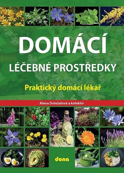 Domácí léčebné prostředky - 9788073222604