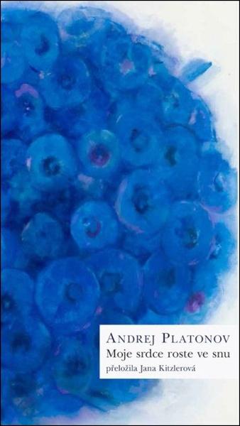 Moje srdce roste ve snu - 9788076456839
