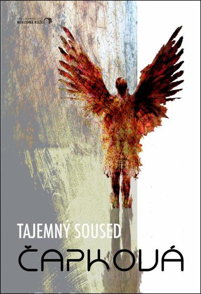 Tajemný soused - 9788090953703
