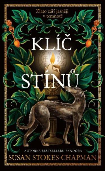 Klíč stínů - 9788024957265