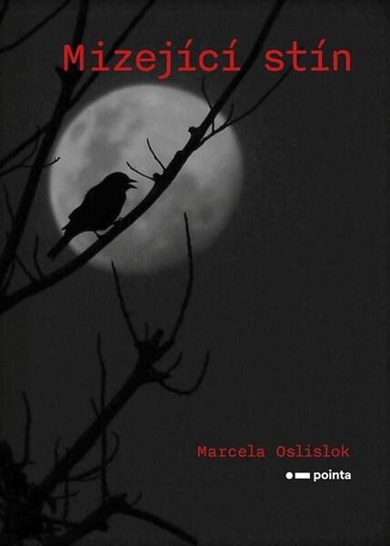 Mizející stín - 9788026750956