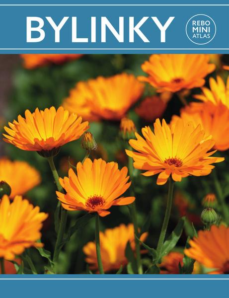 Bylinky miniatlas - 9788025516201