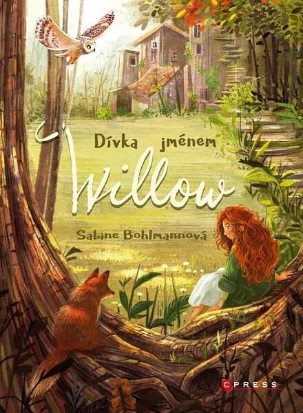 Dívka jménem Willow - 9788026460022