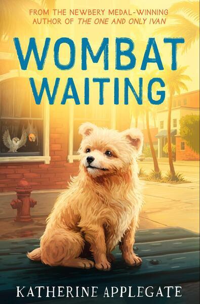 Wombat Waiting - 0008814147
