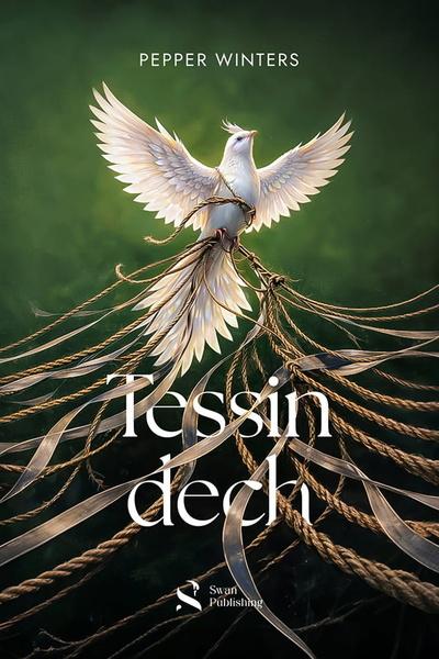 Tessin dech - 9788090980341