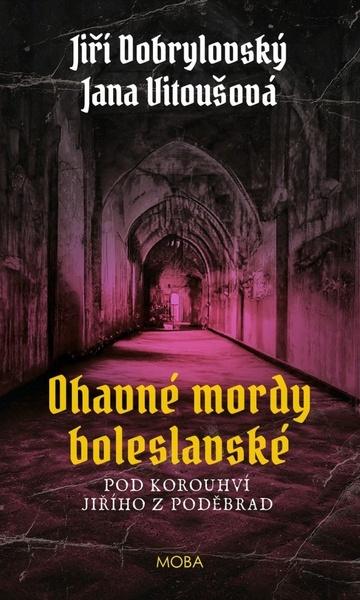 Ohavné mordy boleslavské - 9788027924653