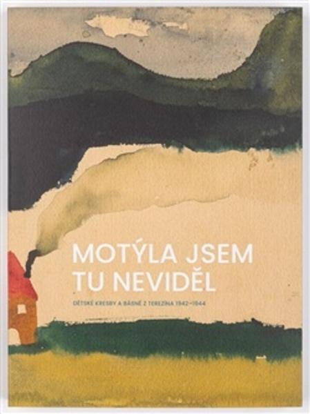Motýla jsem tu neviděl - 9788087366714